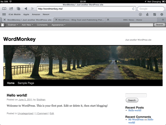 installed wordpress installed using iPad