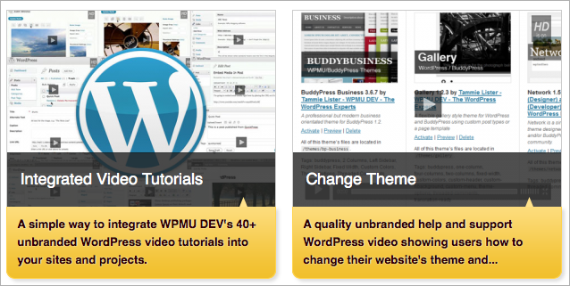 intvideo Integrated videos screenshot