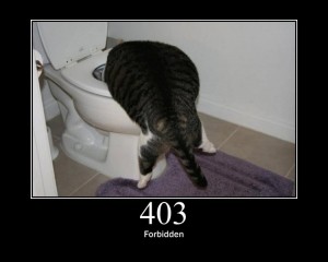 403 Post image
