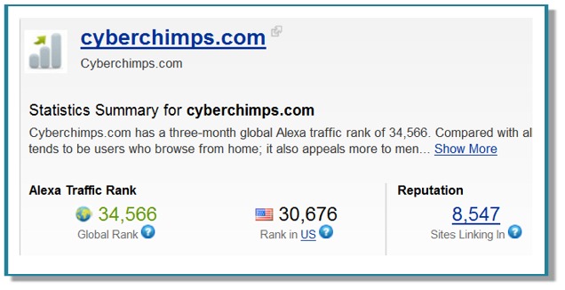 CyberChimps Post image