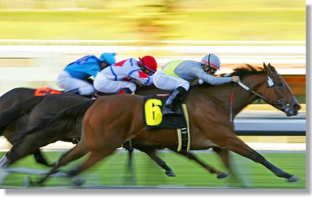 horse-race-big Post image