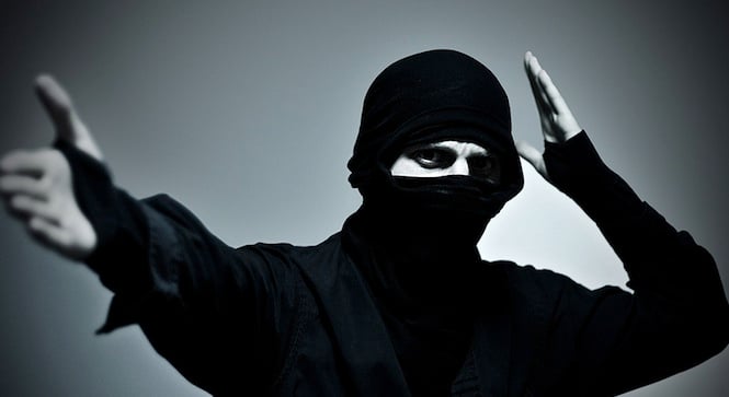 WordPress Ninja WordPress Ninja