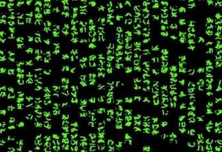 WordPress Shortcodes WordPress Shortcodes