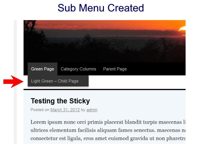 sub-menu-created Post image