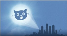 cat-not-bat Post image