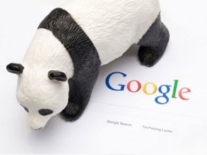 google-panda
