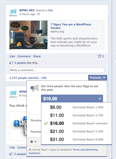 Payments for Promotion The range of payment options to get extra promotion