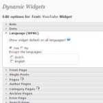 WordPress Sidebar - screenshot of Dynamic Widgets plugin admin panel