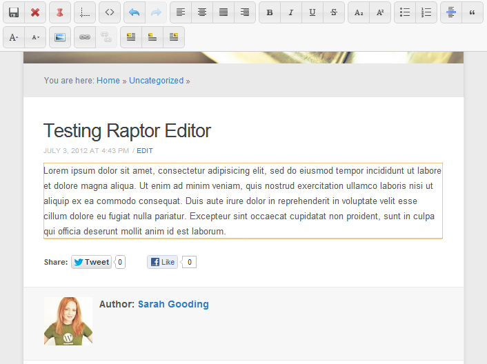 raptor-editor-frontend Post image