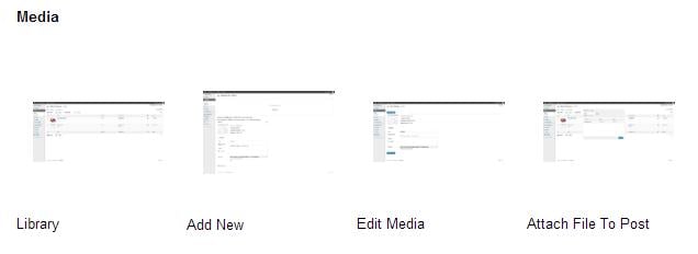 media Post image