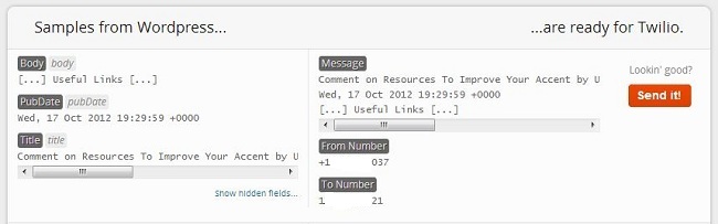 Zapier Sample Text Post image