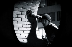 WordPress Thief - Image, Content, Video, and Downloads