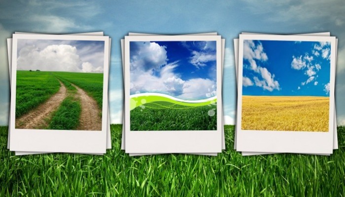 photo-galleries Post image