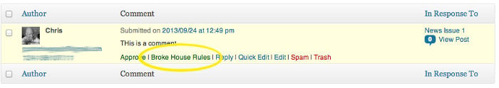 Screen grab showing the admin options for a single comment