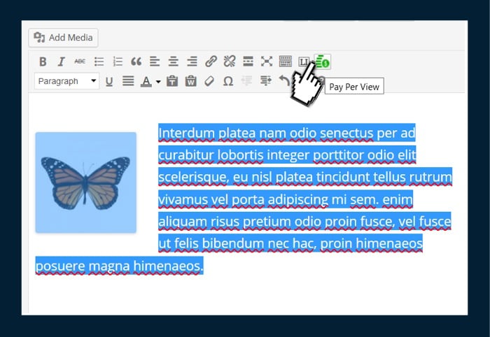 visual-editor-button