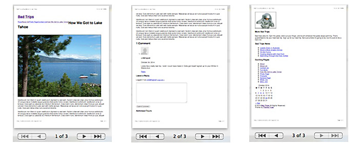 The Print Preview view.