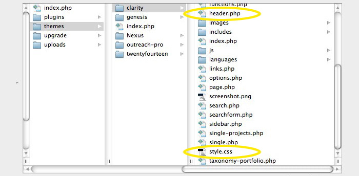 View of theme directory.