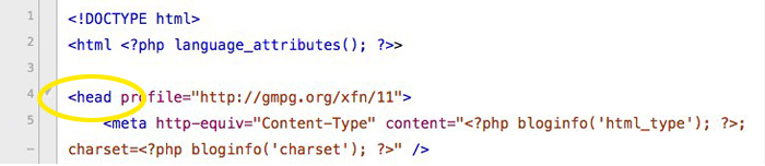 Head section of header.php file.