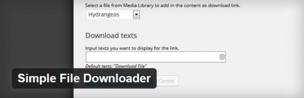 Simple File Downloader image