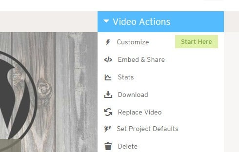 Video actions menu