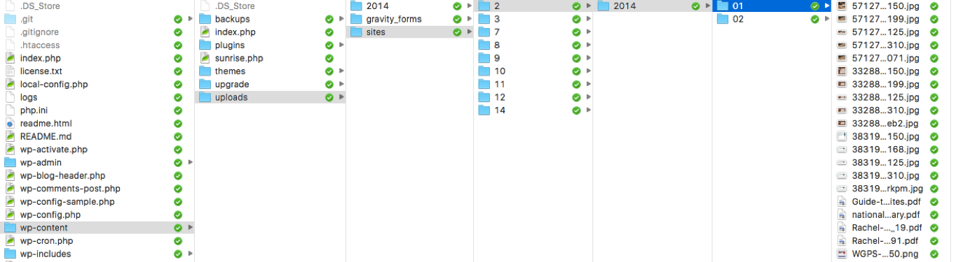 folder stricture in WordPress Multisite