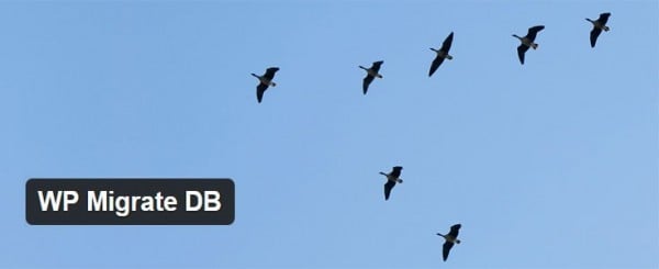 WP Migrate DB image