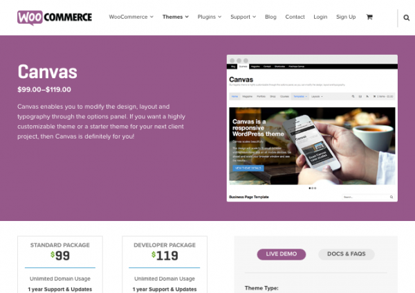 Canvas website
