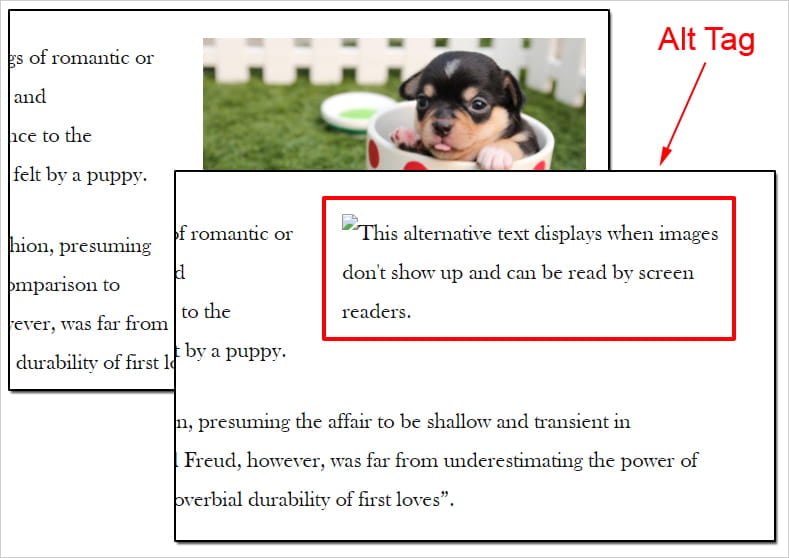 Screenshot of WordPress post with images turned off to display alternate text.