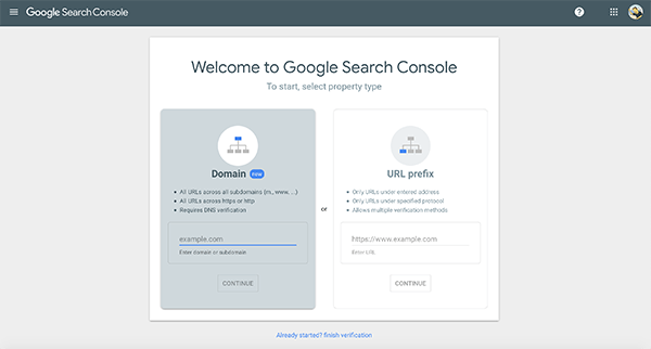 Google Search Console property type.