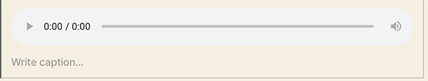 Gutenberg audio player example.
