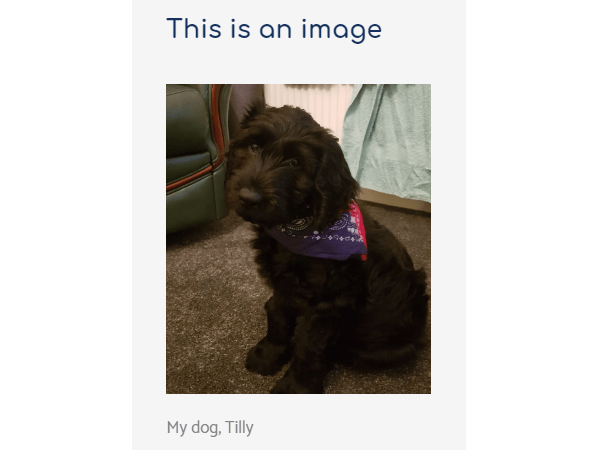 Example of an image using the image post format in arcanum