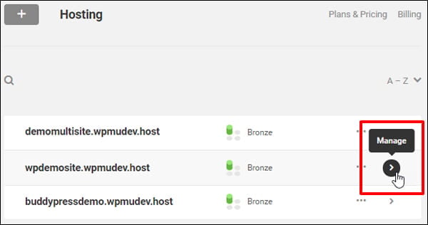 WPMU DEV Hosting Hub - Manage