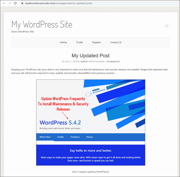 Demo WordPress Site