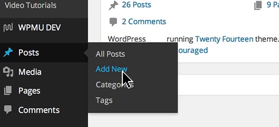 Hover over 'Posts' and click 'Add New'.