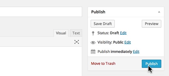 Click 'Publish' to share your post.